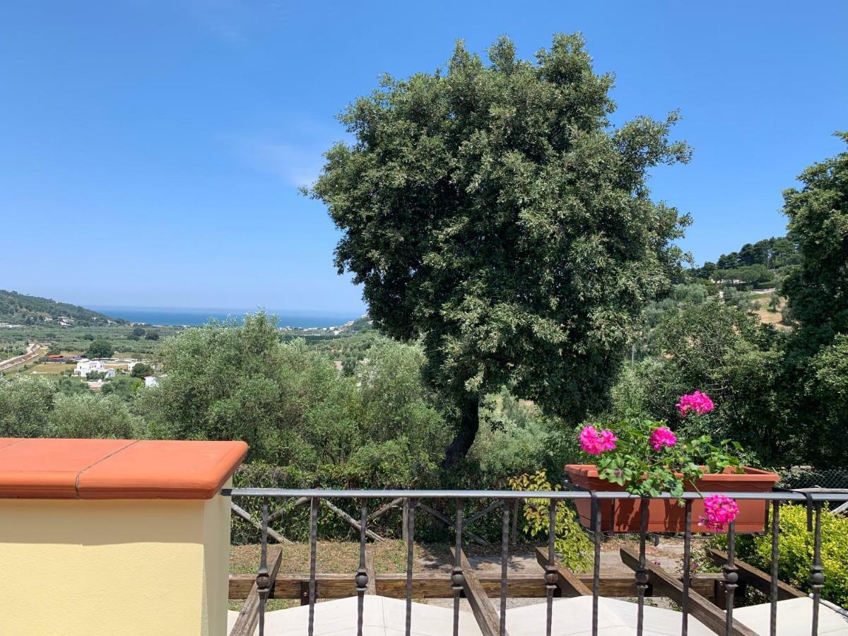 Pensjonat Parco Dei Limoni Peschici Zewnętrze zdjęcie