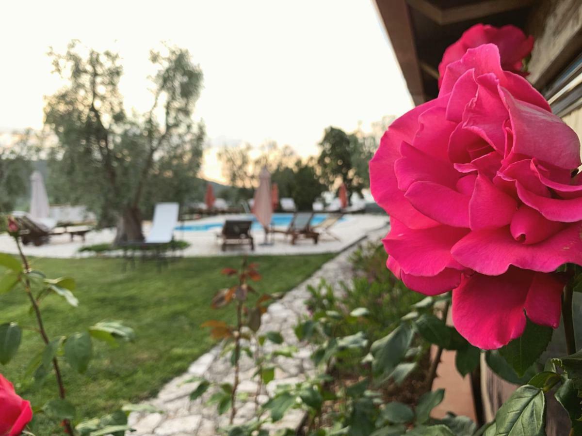 Pensjonat Parco Dei Limoni Peschici Zewnętrze zdjęcie